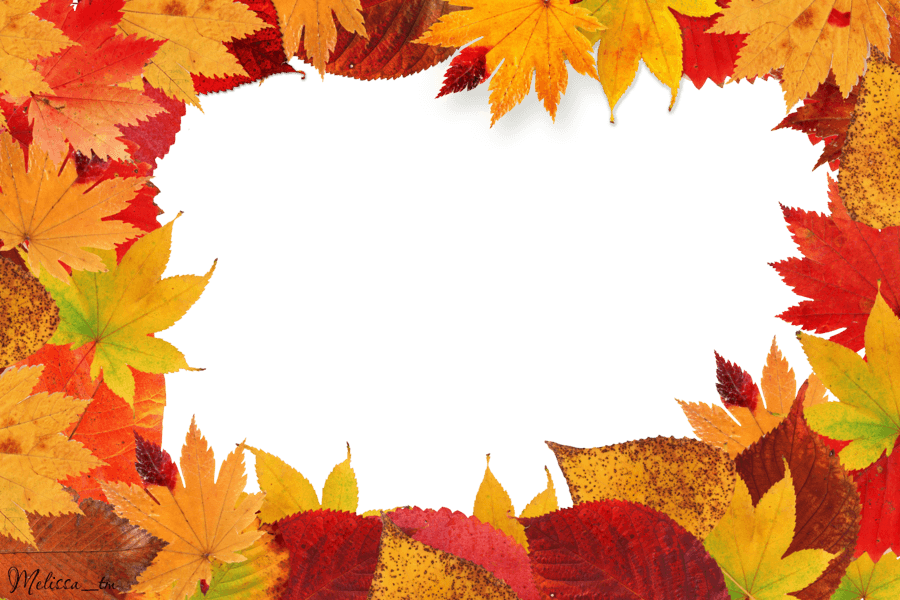 Autumn Leaves Frame Png Leaf PNG Image