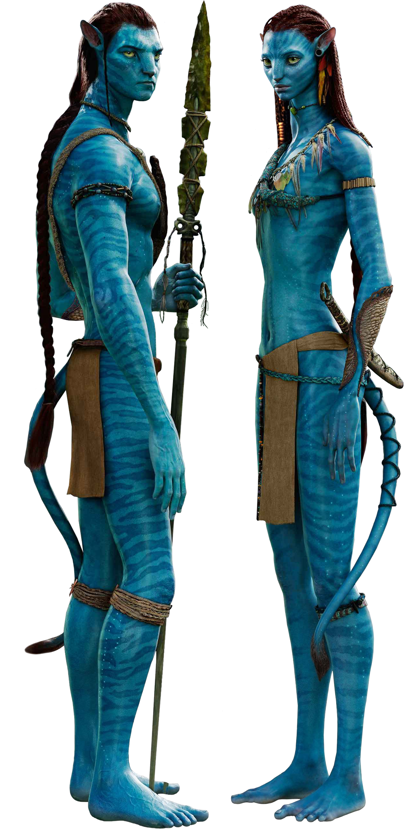 Avatar Transparent PNG Image
