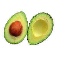 Avocado PNG Free Photo