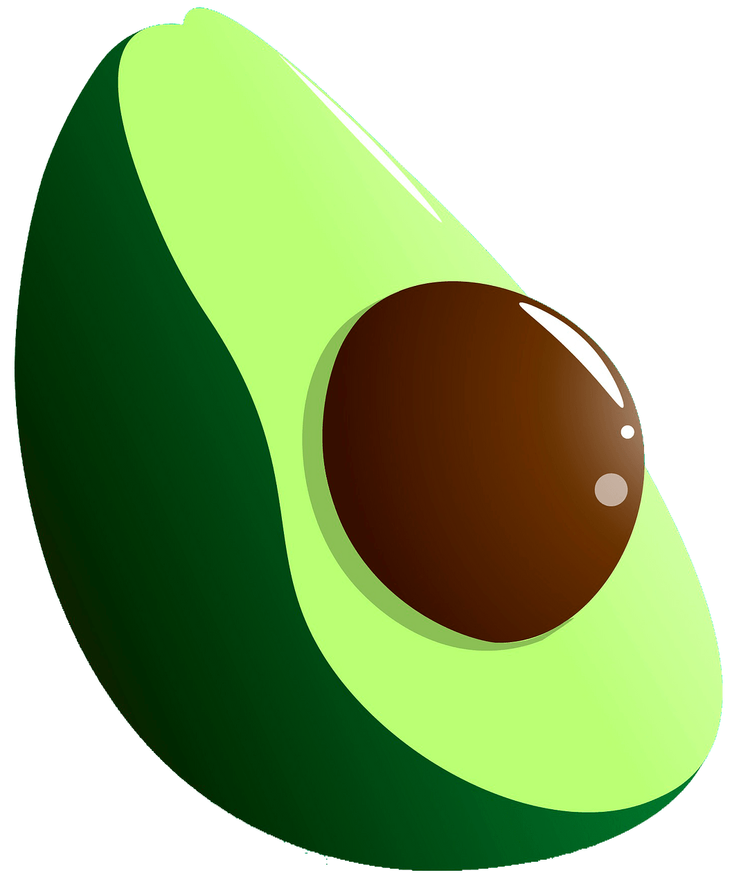 Picture Vector Avocado Download Free Image PNG Image