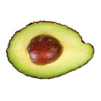 Avocado PNG Free Photo