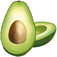 Vector Avocado Free Clipart HD