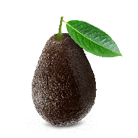 Avocado PNG Image High Quality PNG