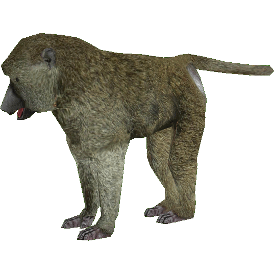 Baboon Png Clipart PNG Image