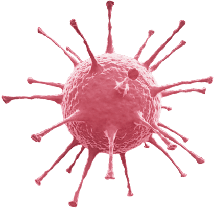 Bacteria Transparent PNG Image