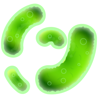 Bacteria Transparent PNG Image