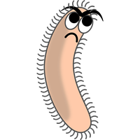 Bacteria PNG Image