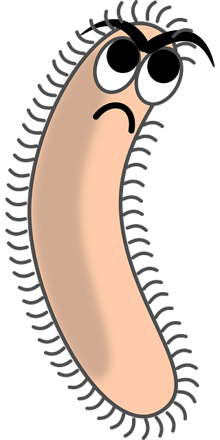 Bacteria Transparent PNG Image