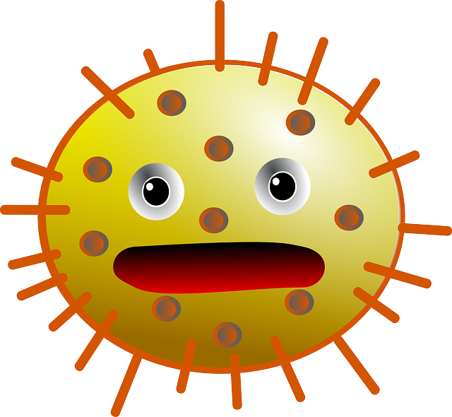 Bacteria Transparent PNG Image