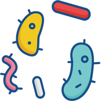 Bacteria PNG