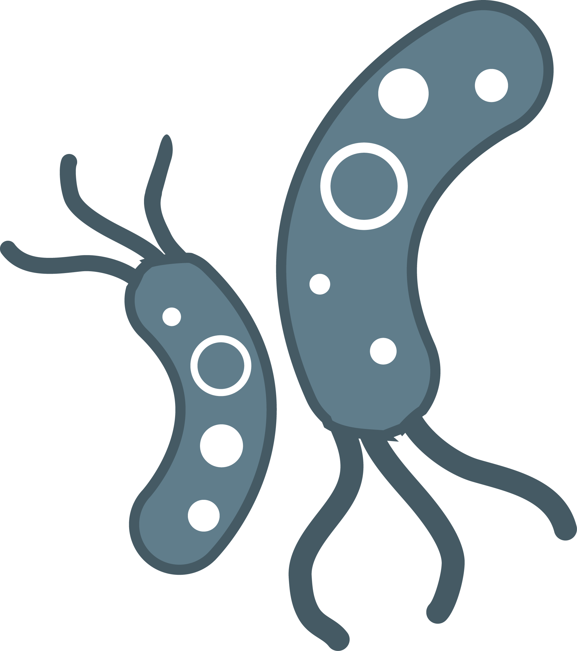 Bacteria Transparent PNG Image
