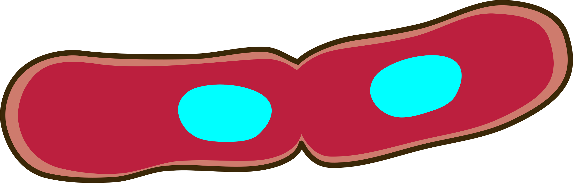 Bacteria Transparent PNG Image