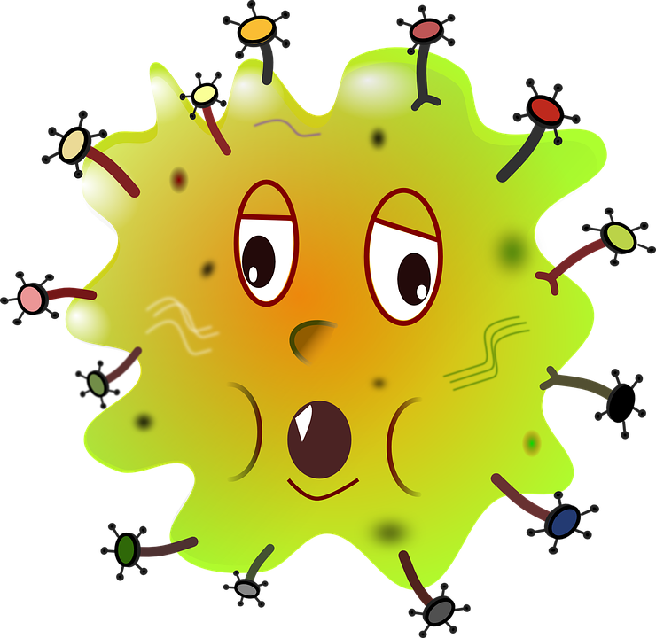 Bacteria Transparent PNG Image