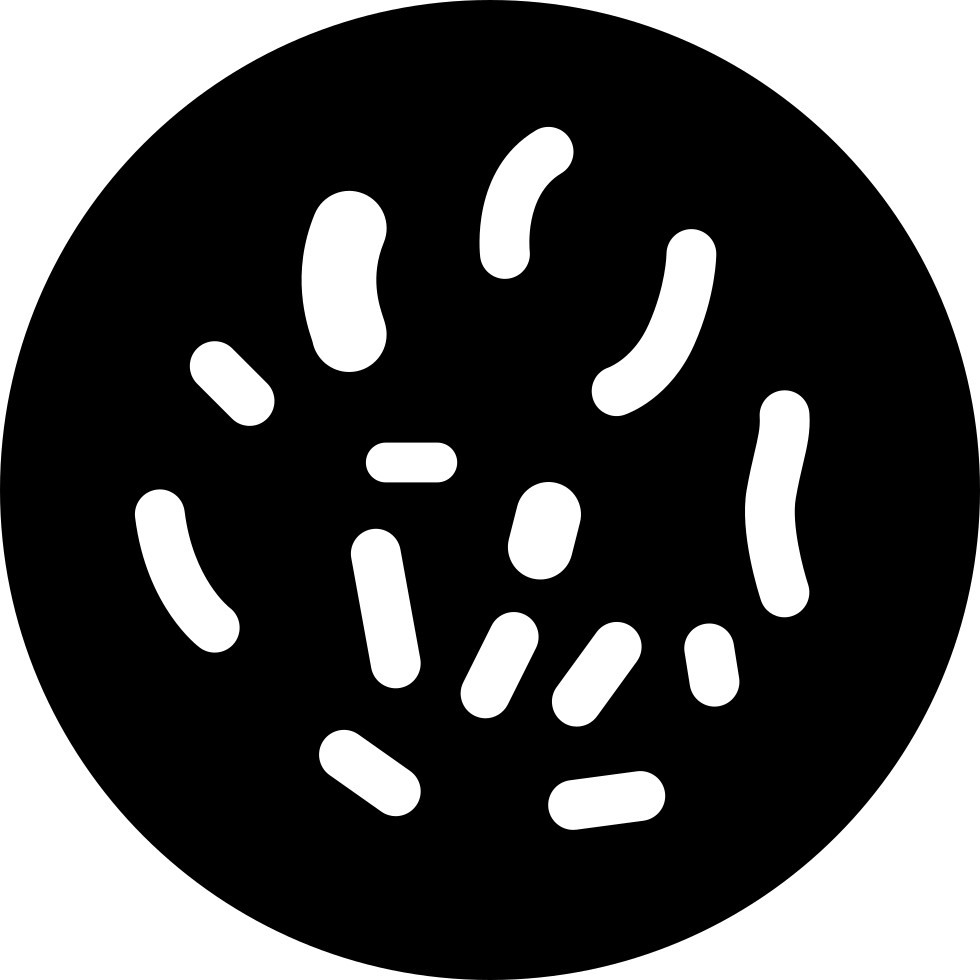 Bacteria Transparent PNG Image