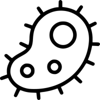 Bacteria PNG