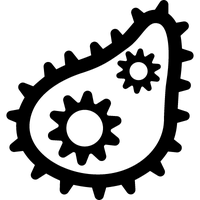 Bacteria Transparent PNG Image