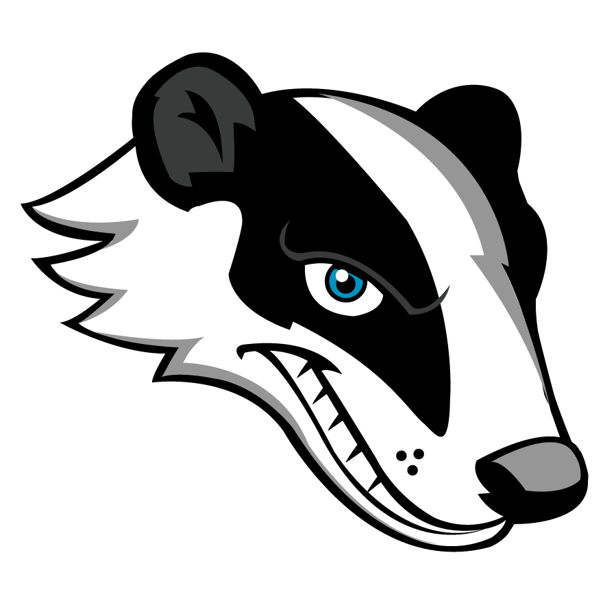 Badger Transparent PNG Image