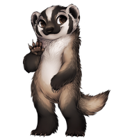 Badger Transparent PNG Image