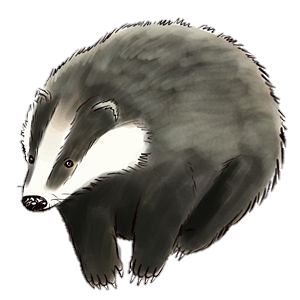 Badger Transparent PNG Image