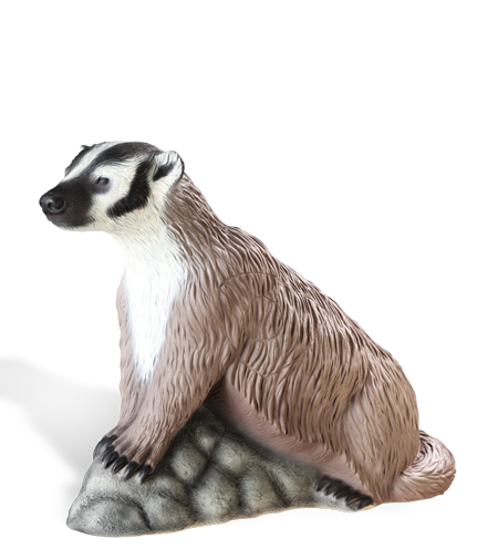 Badger Transparent PNG Image