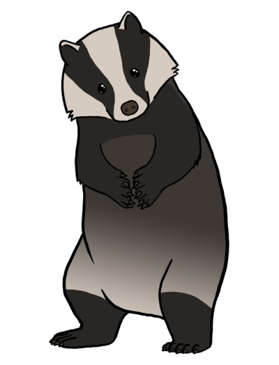 Badger Transparent PNG Image