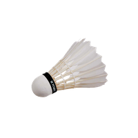 Badminton Player File Transparent HQ PNG Download | FreePNGImg