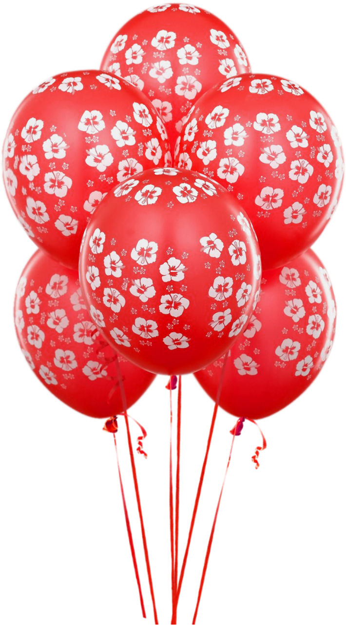 Balloon Birthday Balloons Transparent Red Free Transparent Image HQ PNG Image