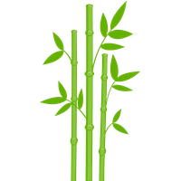 Bamboo Transparent Image PNG