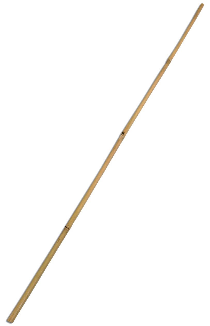 Download Bamboo  Stick  Picture HQ PNG  Image FreePNGImg
