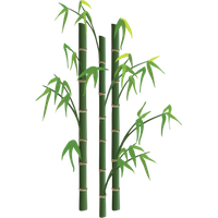 Download Bamboo Stick Transparent HQ PNG Image | FreePNGImg