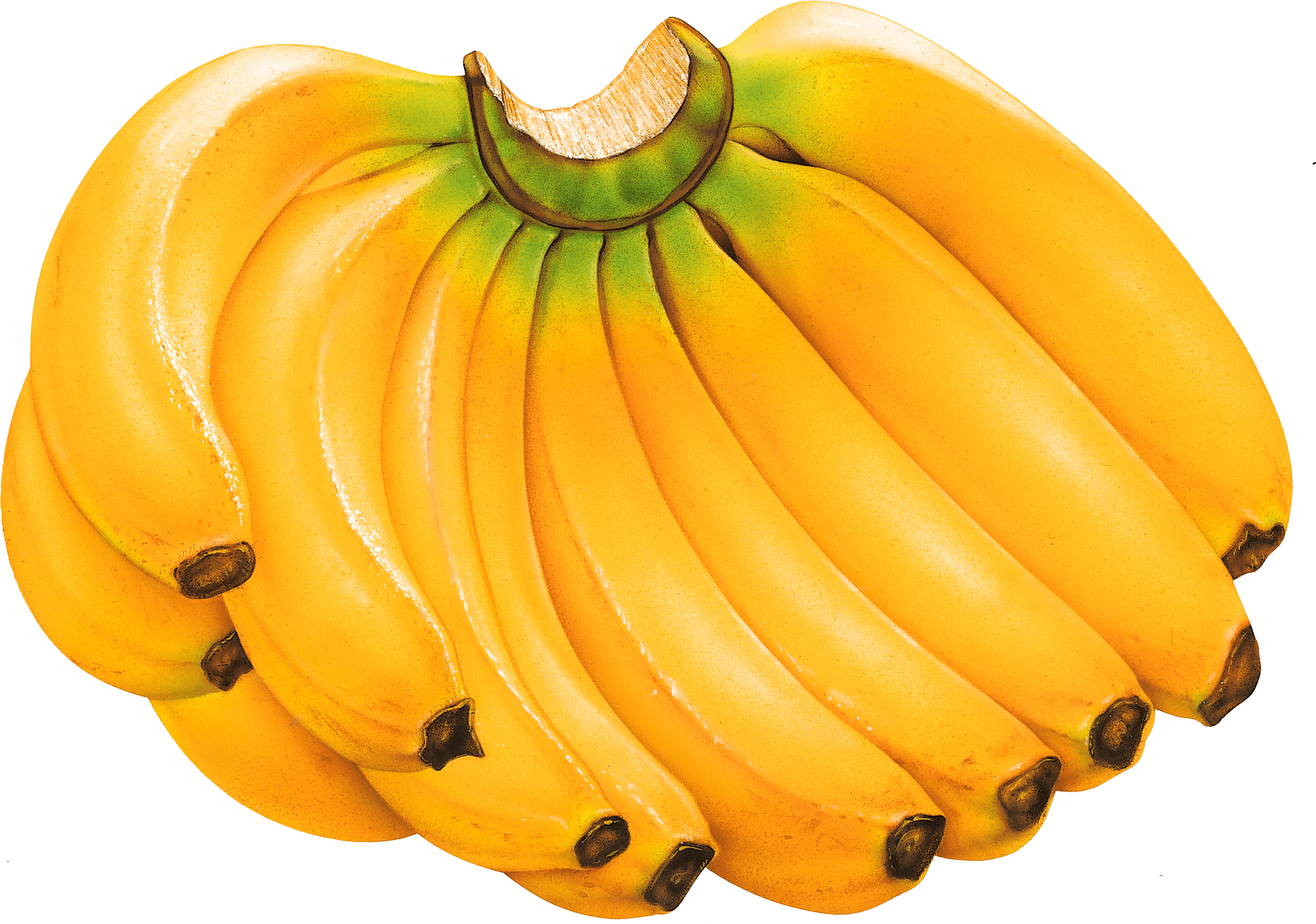 banana png