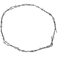 Barbed wire PNG