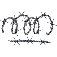 Barbed wire PNG