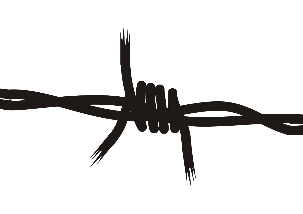 Barbed wire Transparent PNG Image