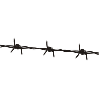 Barbwire Transparent PNG Image