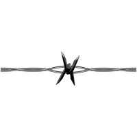 Barbwire PNG