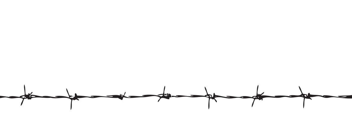 Barbwire Transparent PNG Image