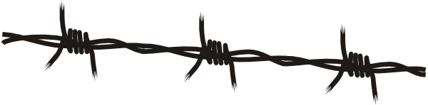 Barbwire Transparent PNG Image