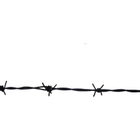 Barbwire Transparent PNG Image