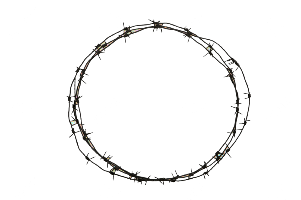 Barbwire Transparent PNG Image