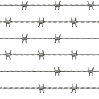 Barbwire Transparent PNG Image