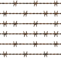 Barbwire Transparent PNG Image