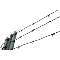 Barbwire Transparent PNG Image