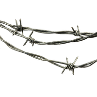 Barbwire Transparent PNG Image