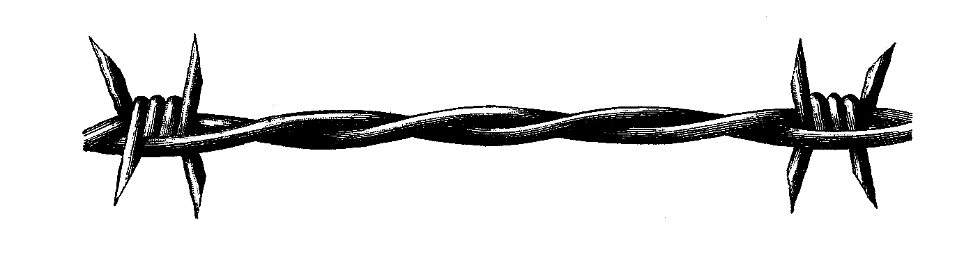 Barbwire Transparent PNG Image