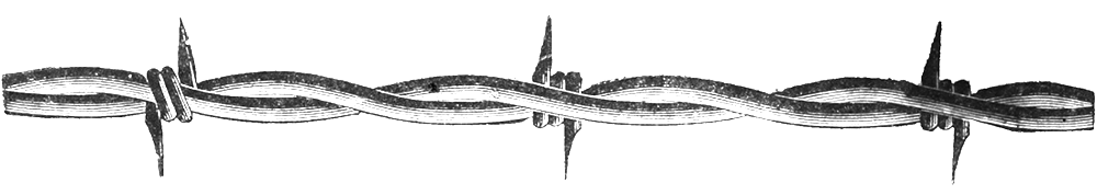 Barbwire Transparent PNG Image