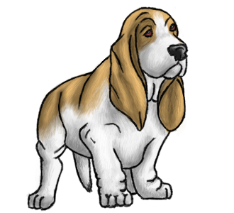 Basset Hound Transparent PNG Image