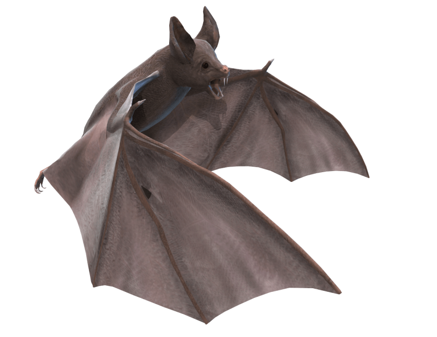 Bat Flying Free HQ Image PNG Image