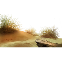 Beach Download Png PNG Image