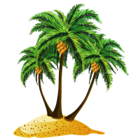 Beach PNG Image
